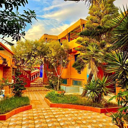 Tamraght Surf & Salsa Ocean House Bed & Breakfast エクステリア 写真