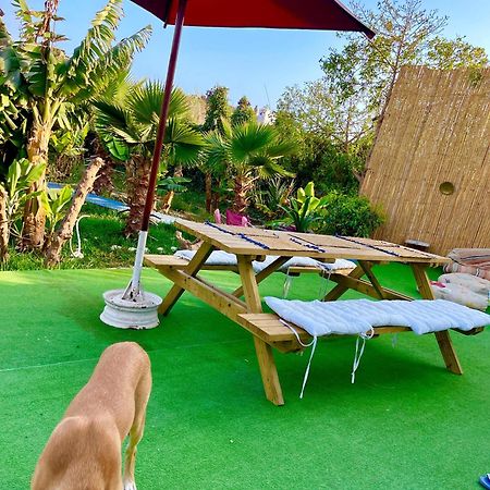 Tamraght Surf & Salsa Ocean House Bed & Breakfast エクステリア 写真